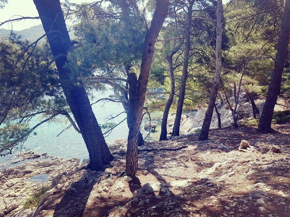 Hanas Dream Places Zaton  Ngoại thất bức ảnh